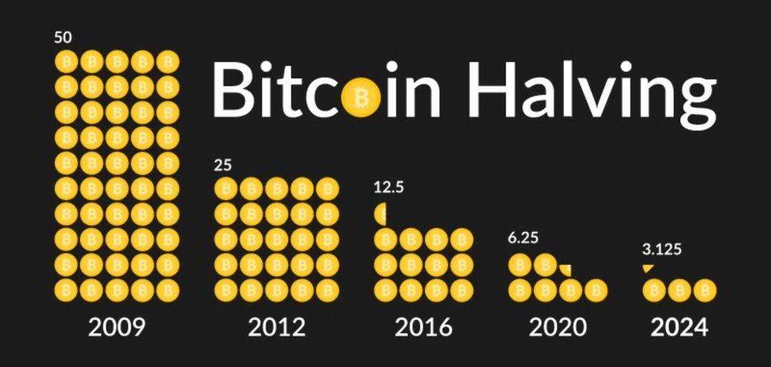 Halving Bitcoina? Co to takiego? 