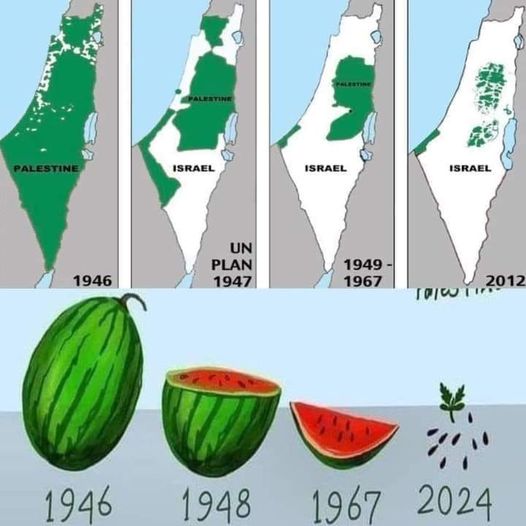 Izrael a Palestyna