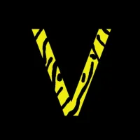 VIDIGAMES