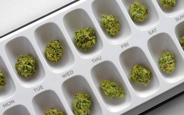 Czy medyczna marihuana to lek czy narkotyk? 